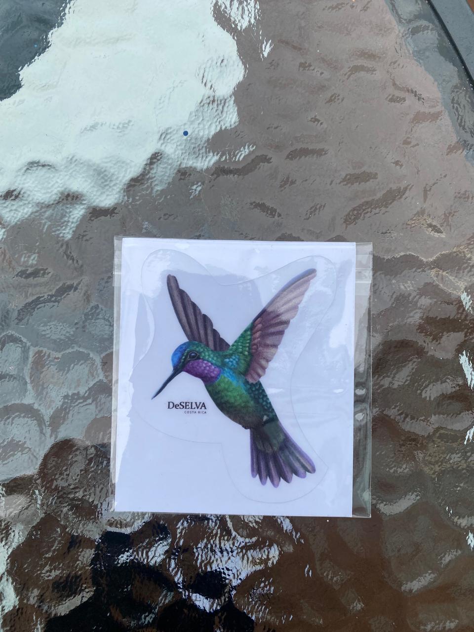 Stickers pequeños DeSELVA