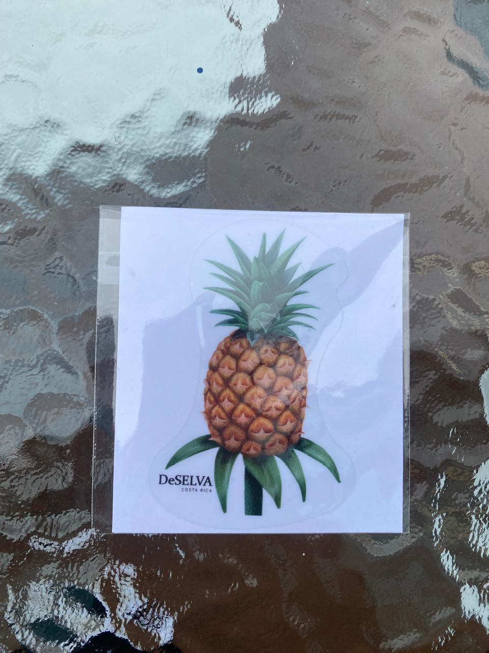 Stickers pequeños DeSELVA