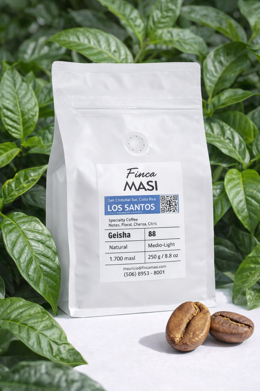 Café Geisha - Finca Masi