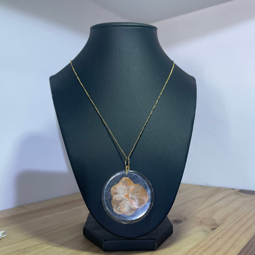 Albor Cristal - Clara’s Studio