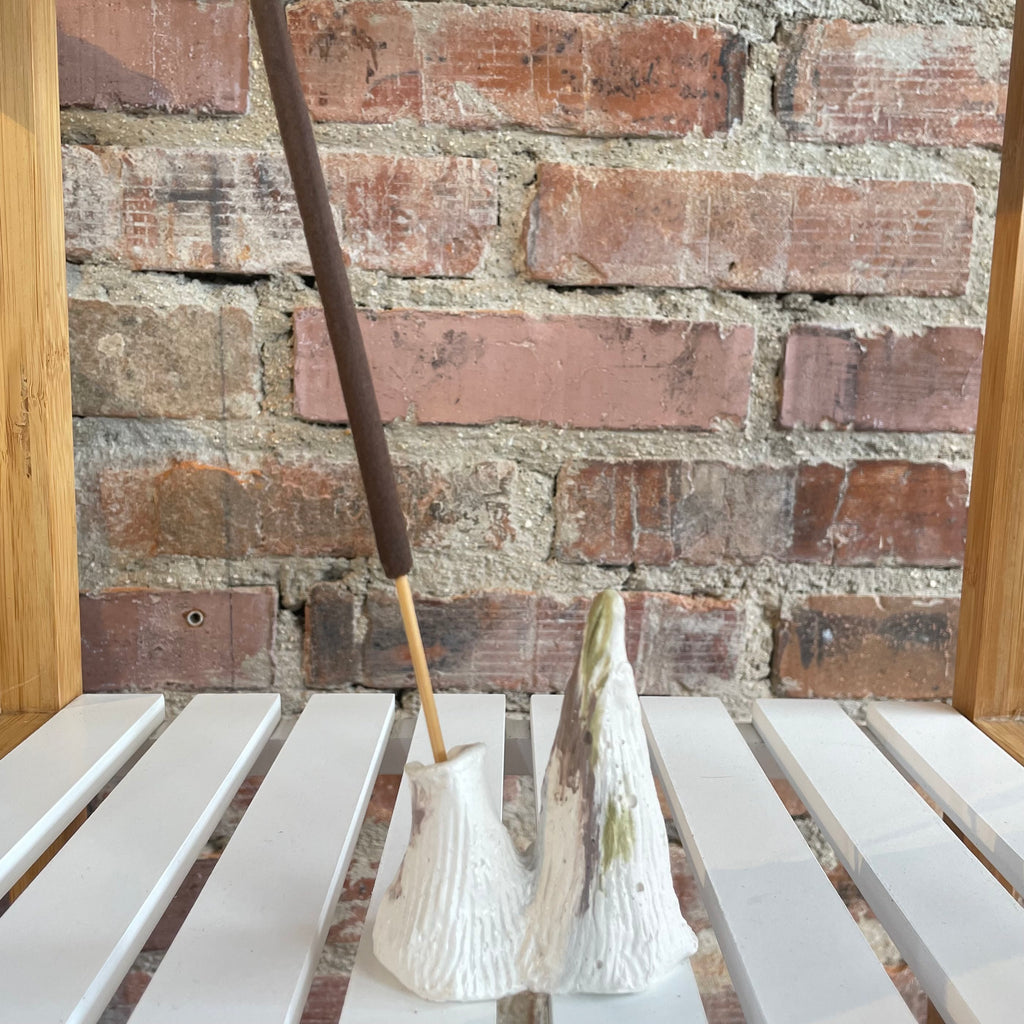 Montaña y Volcán Valle- Robusto