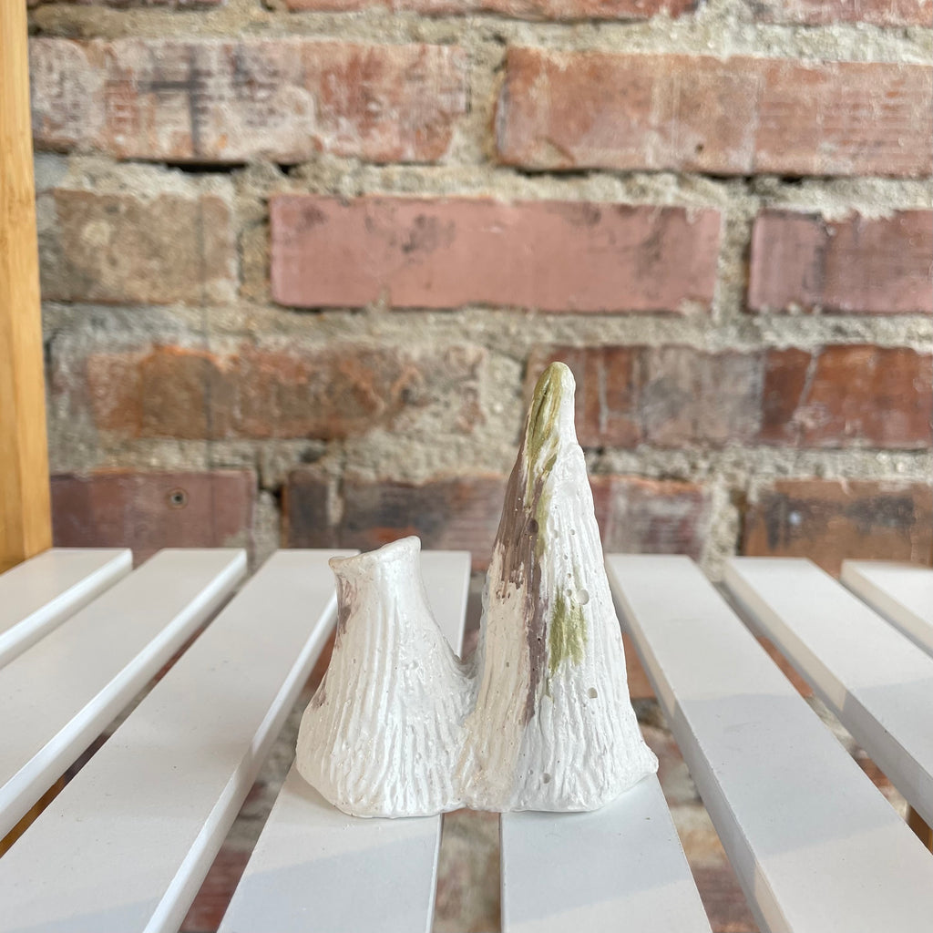 Montaña y Volcán Valle- Robusto