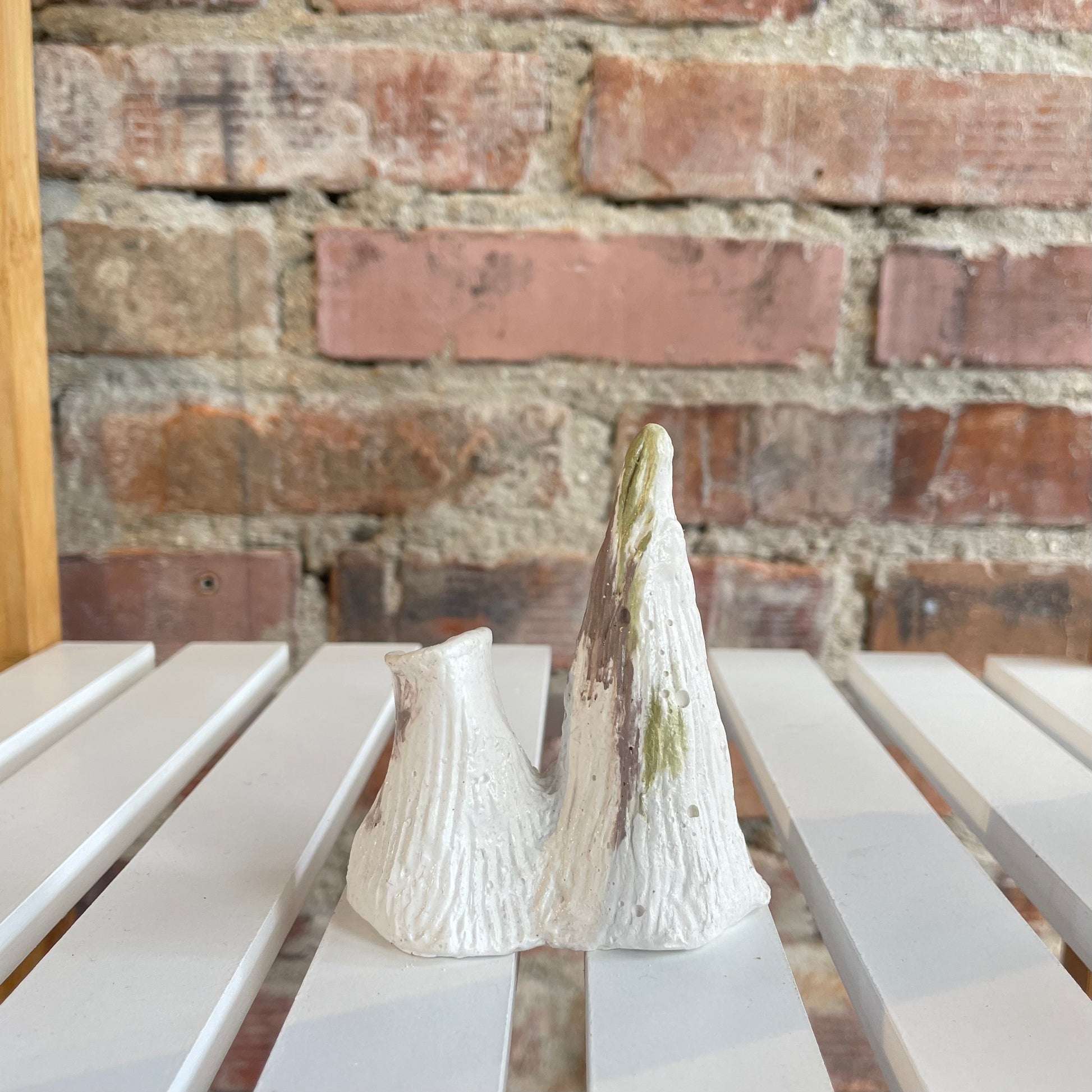 Montaña y Volcán Valle- Robusto