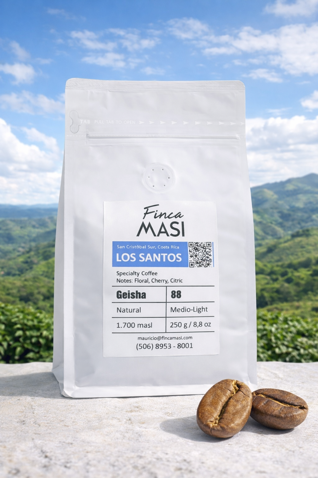 Café Geisha - Finca Masi