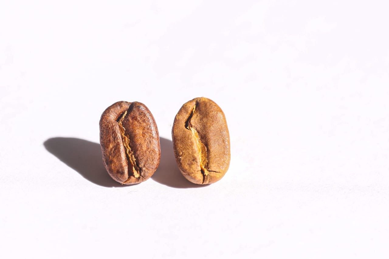 Café Geisha - Finca Masi