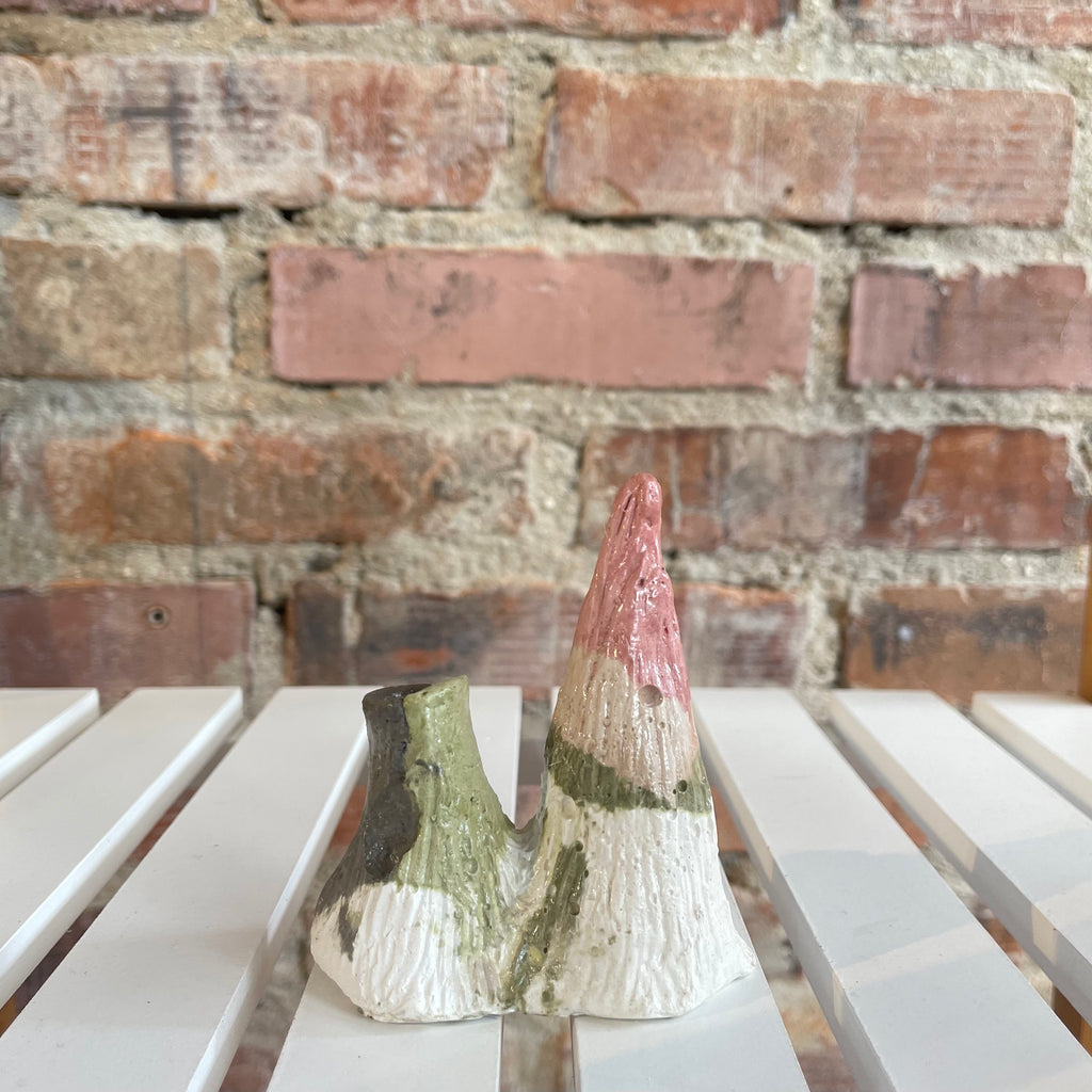 Montaña y Volcán Flori - Robusto