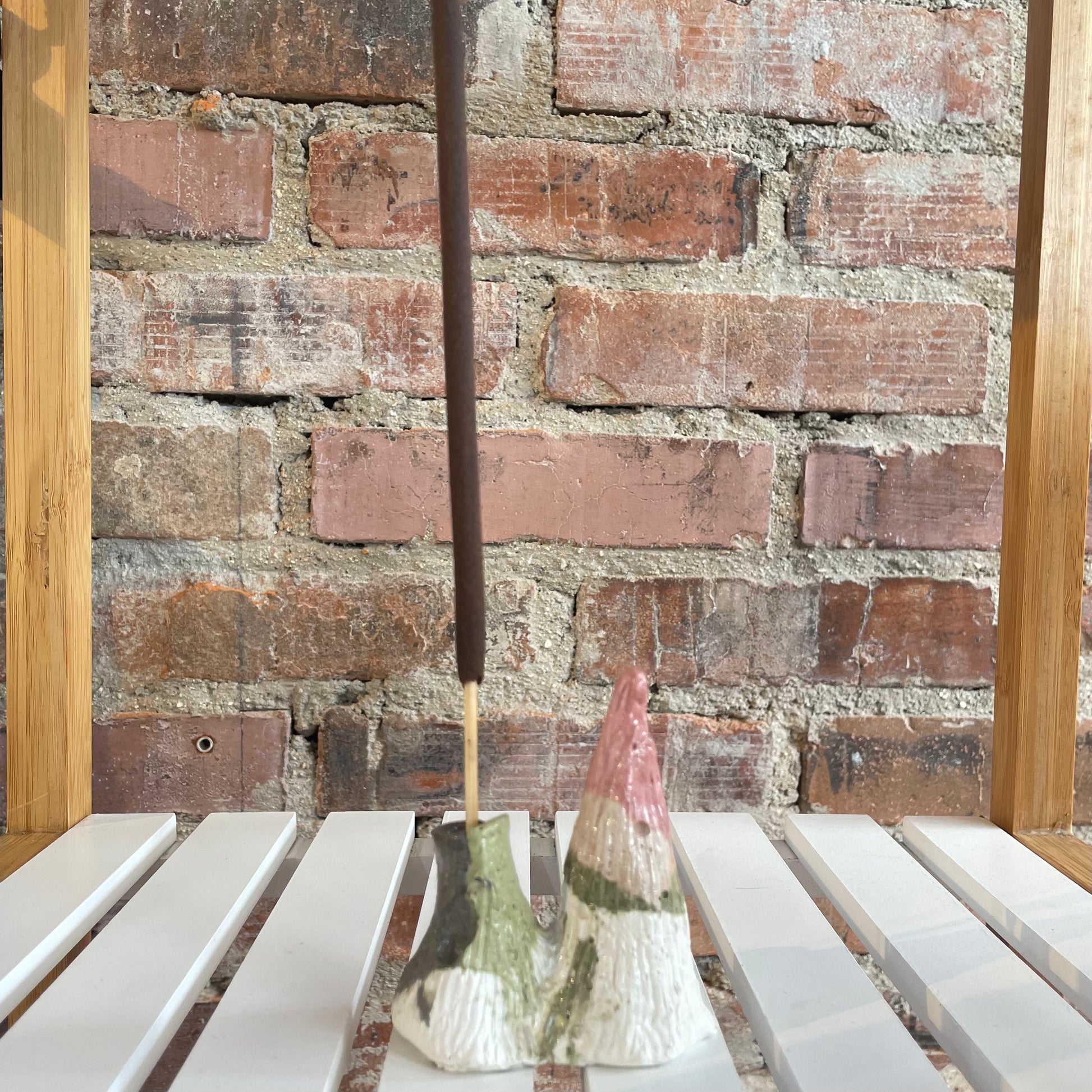 Montaña y Volcán Flori - Robusto