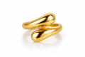 Gold Ring Eclipse - Eclectic Collection