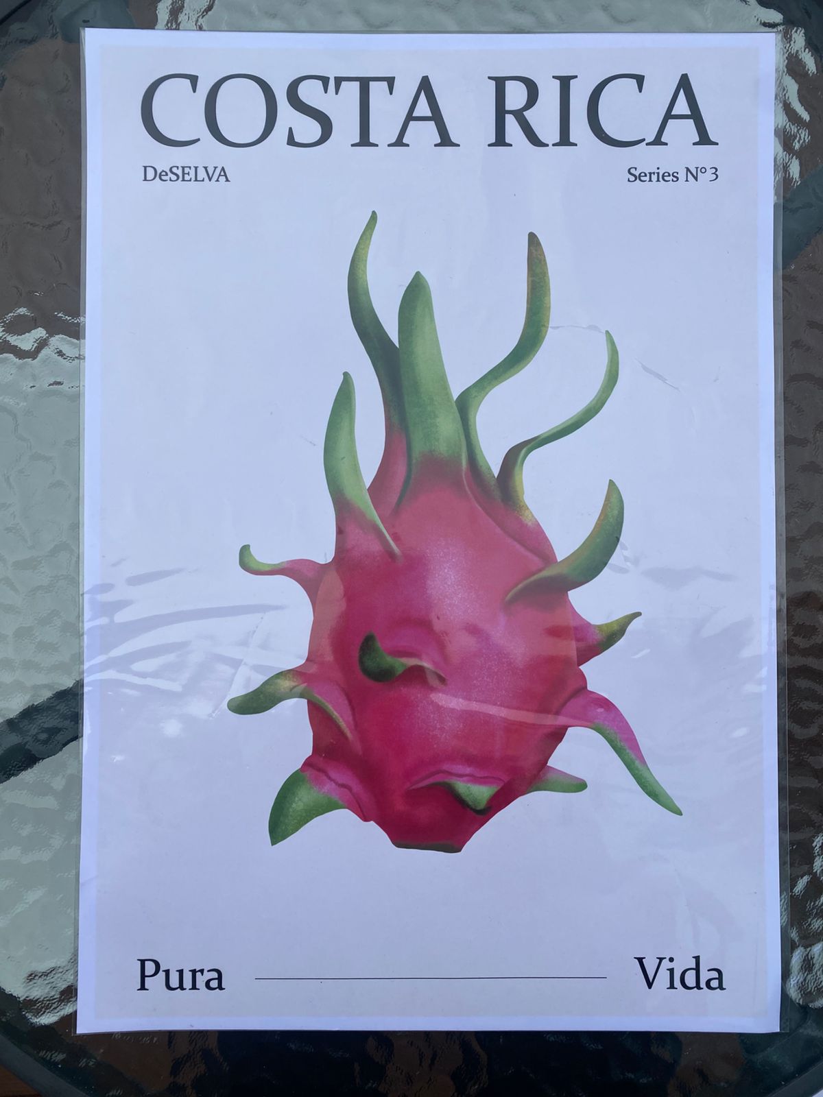 Poster DeSELVA