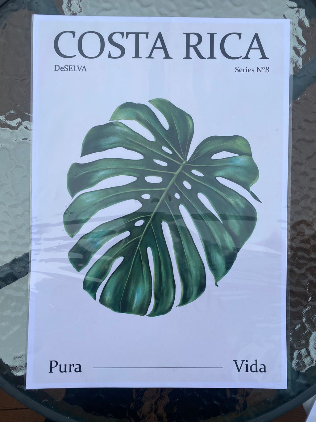 Poster DeSELVA