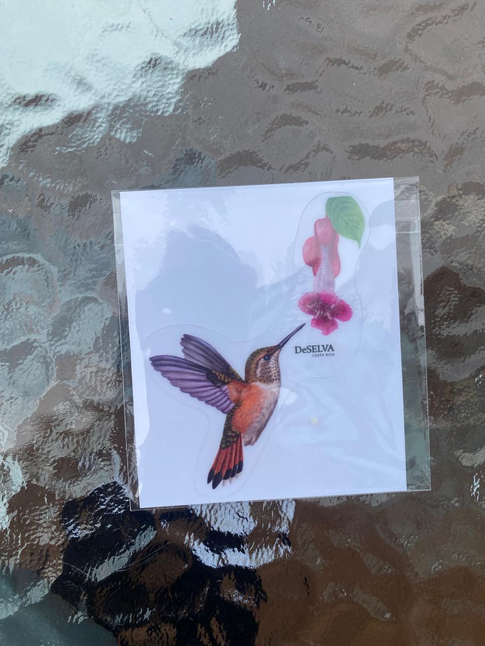 Stickers pequeños DeSELVA