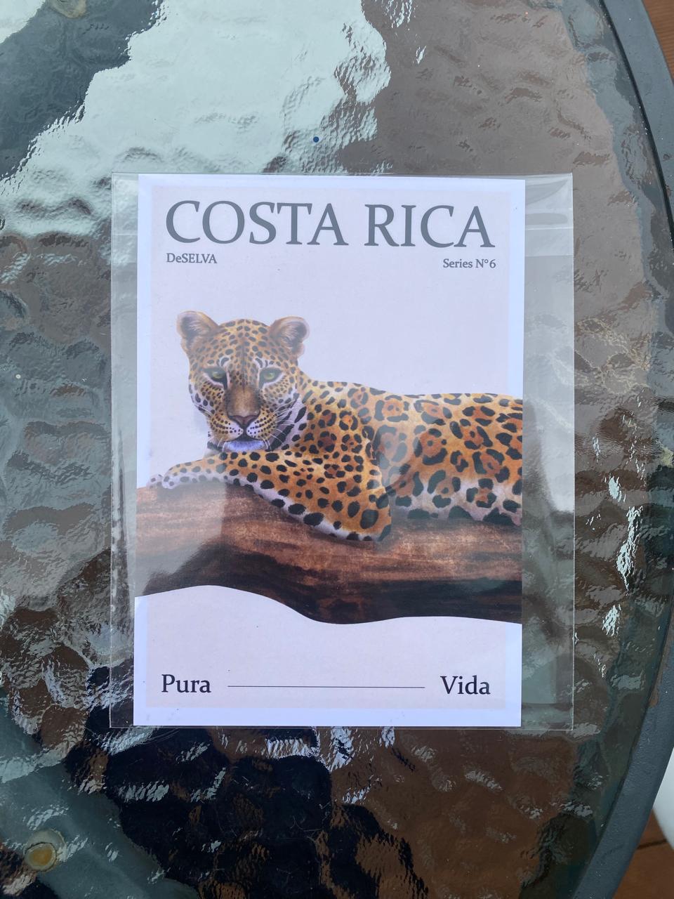Postales DeSELVA