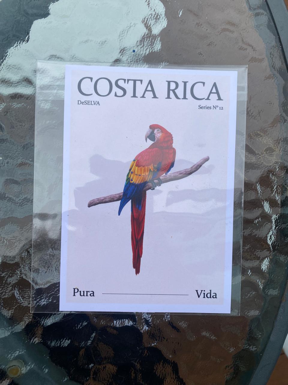 Postales DeSELVA