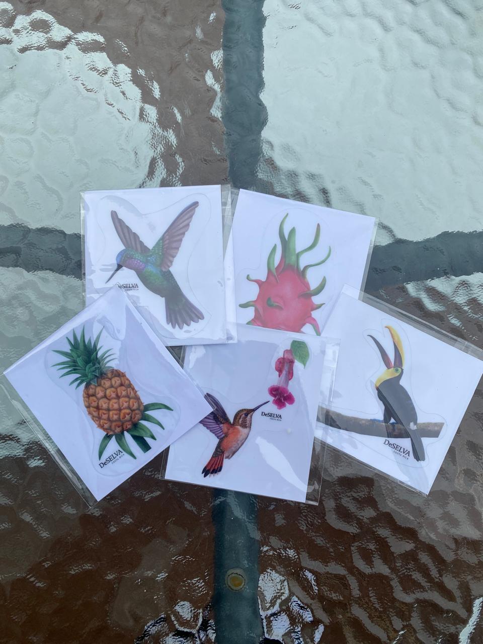 Stickers pequeños DeSELVA