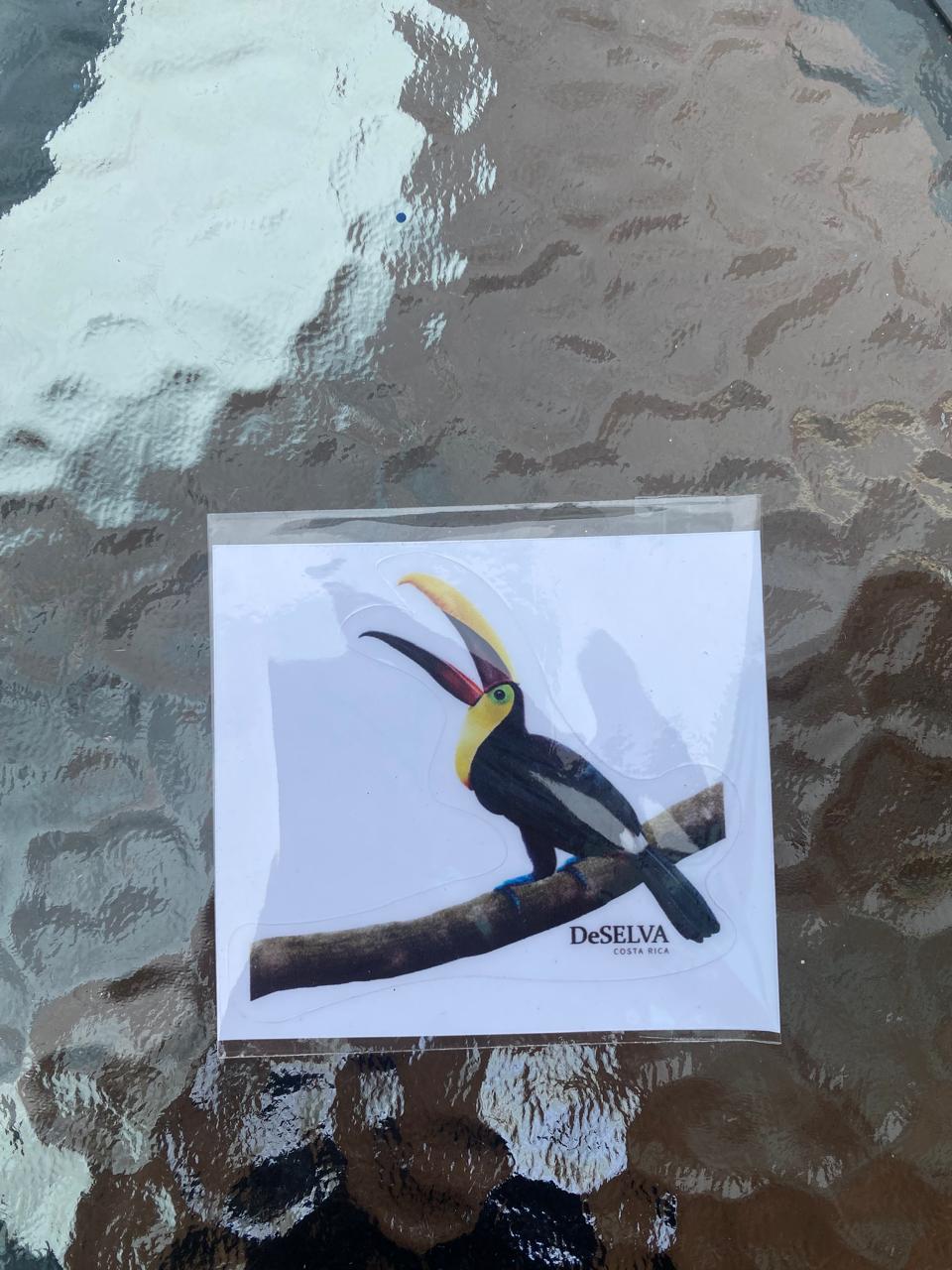 Stickers pequeños DeSELVA